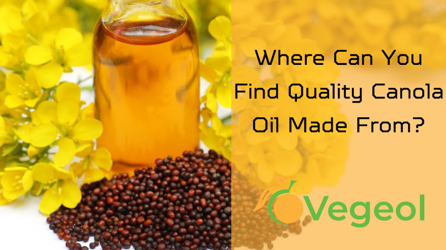 Canola Oil Made From